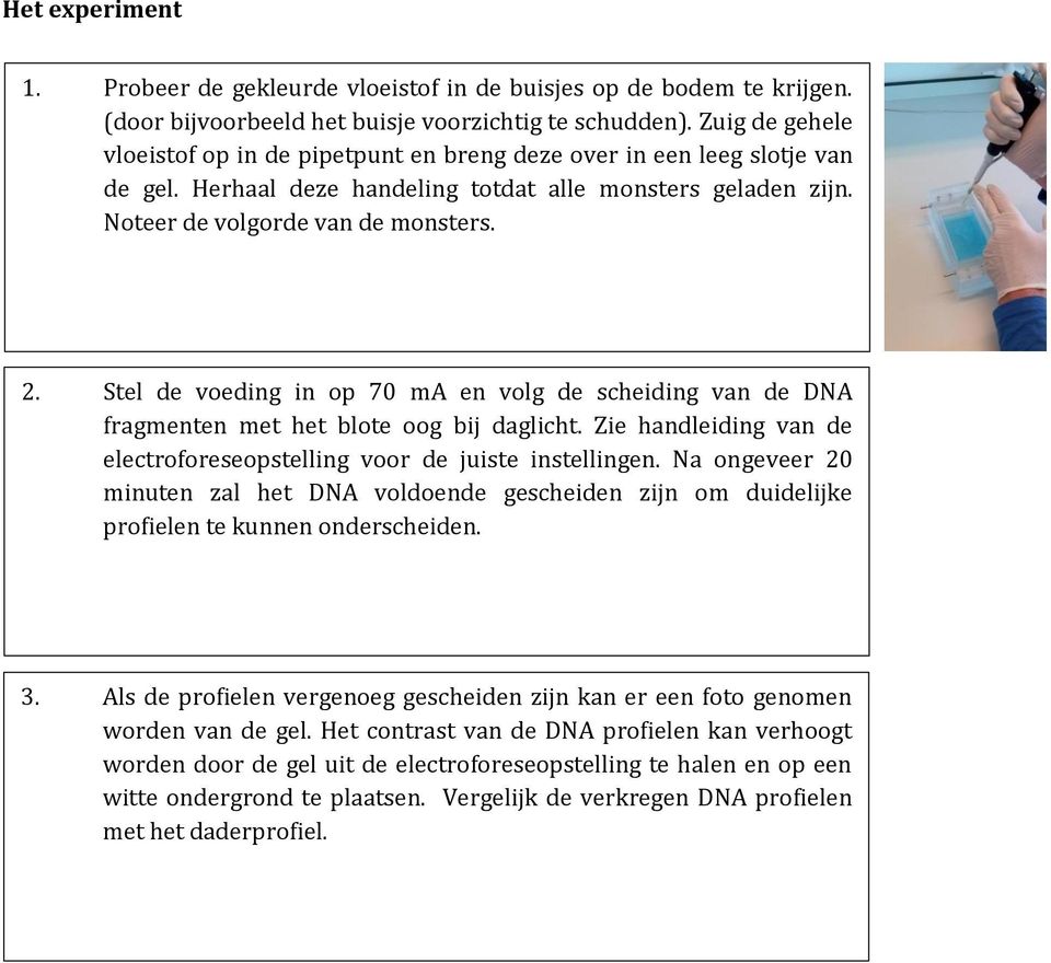 Stel de voeding in op 70 ma en volg de scheiding van de DNA fragmenten met het blote oog bij daglicht. Zie handleiding van de electroforeseopstelling voor de juiste instellingen.