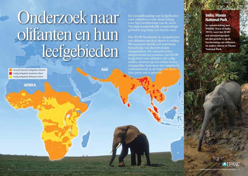 Het IFAW beschermt de leefgebieden van olifanten om deze dieren te redden. We hanteren hierbij een holistische benadering van dierenwelzijnsvraagstukken.
