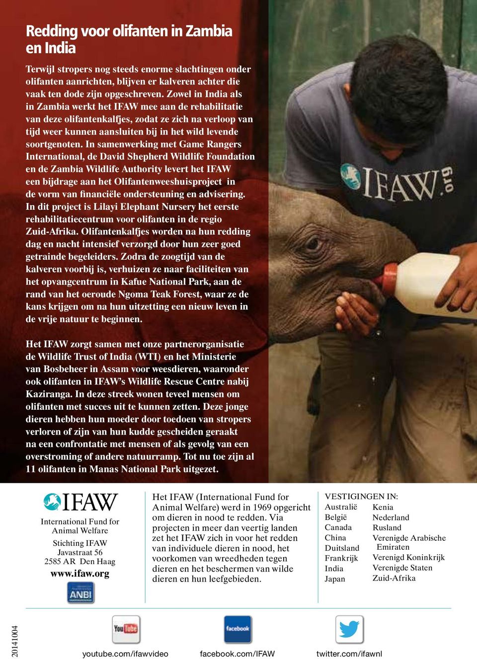 In samenwerking met Game Rangers International, de David Shepherd Wildlife Foundation en de Zambia Wildlife Authority levert het IFAW een bijdrage aan het Olifantenweeshuisproject in de vorm van