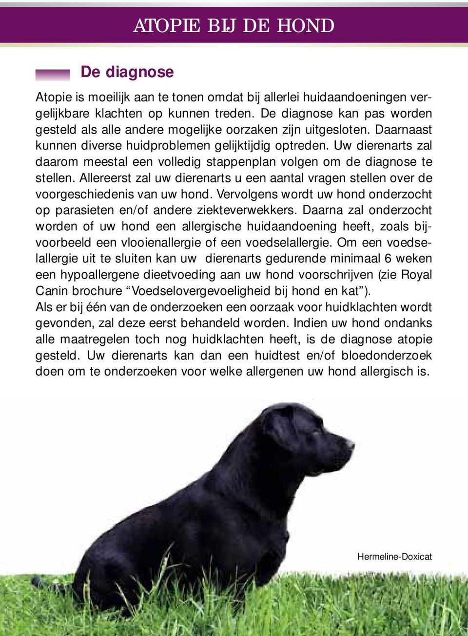 Uw dierenarts zal daarom meestal een volledig stappenplan volgen om de diagnose te stellen. Allereerst zal uw dierenarts u een aantal vragen stellen over de voorgeschiedenis van uw hond.