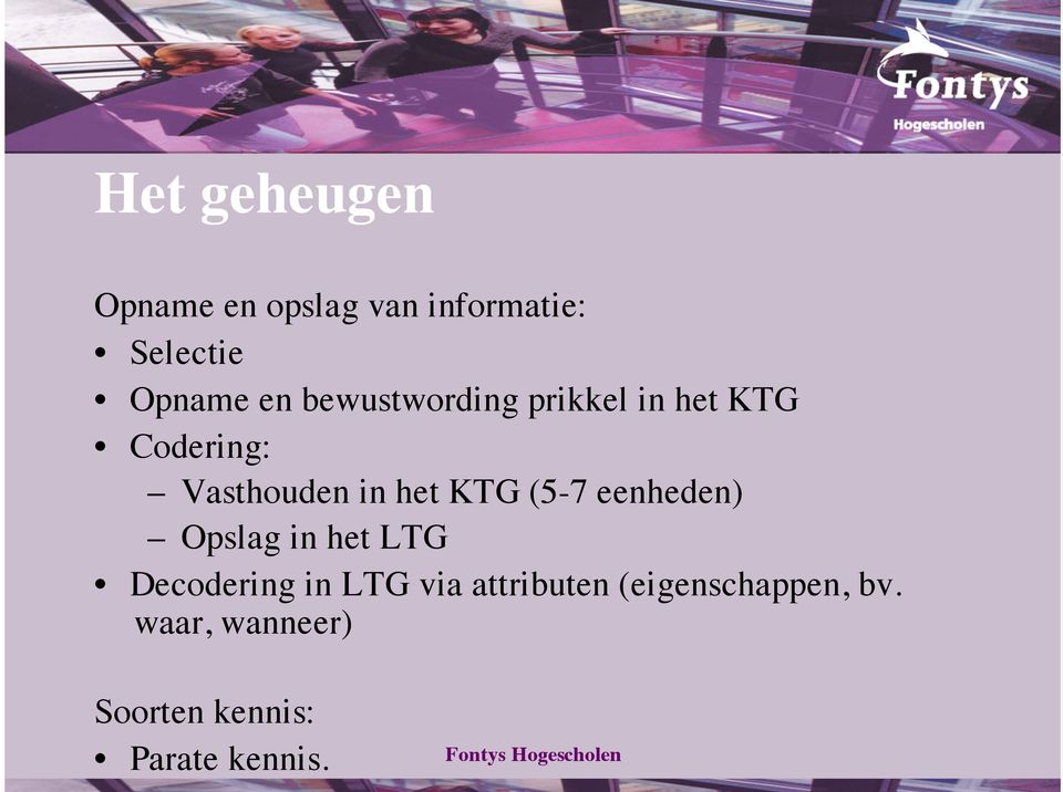 (5-7 eenheden) Opslag in het LTG Decodering in LTG via attributen