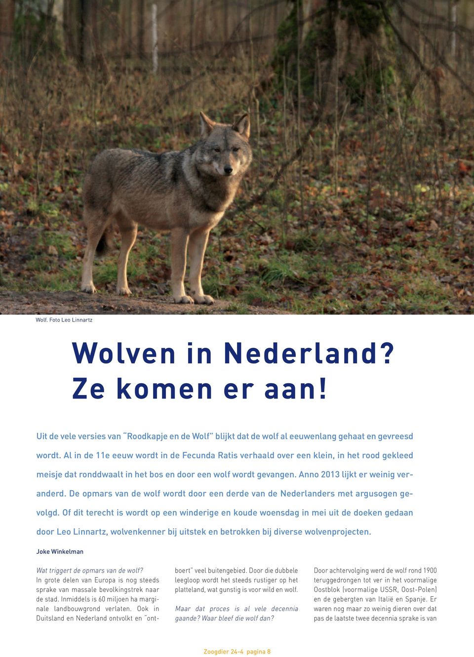De opmars van de wolf wordt door een derde van de Nederlanders met argusogen gevolgd.