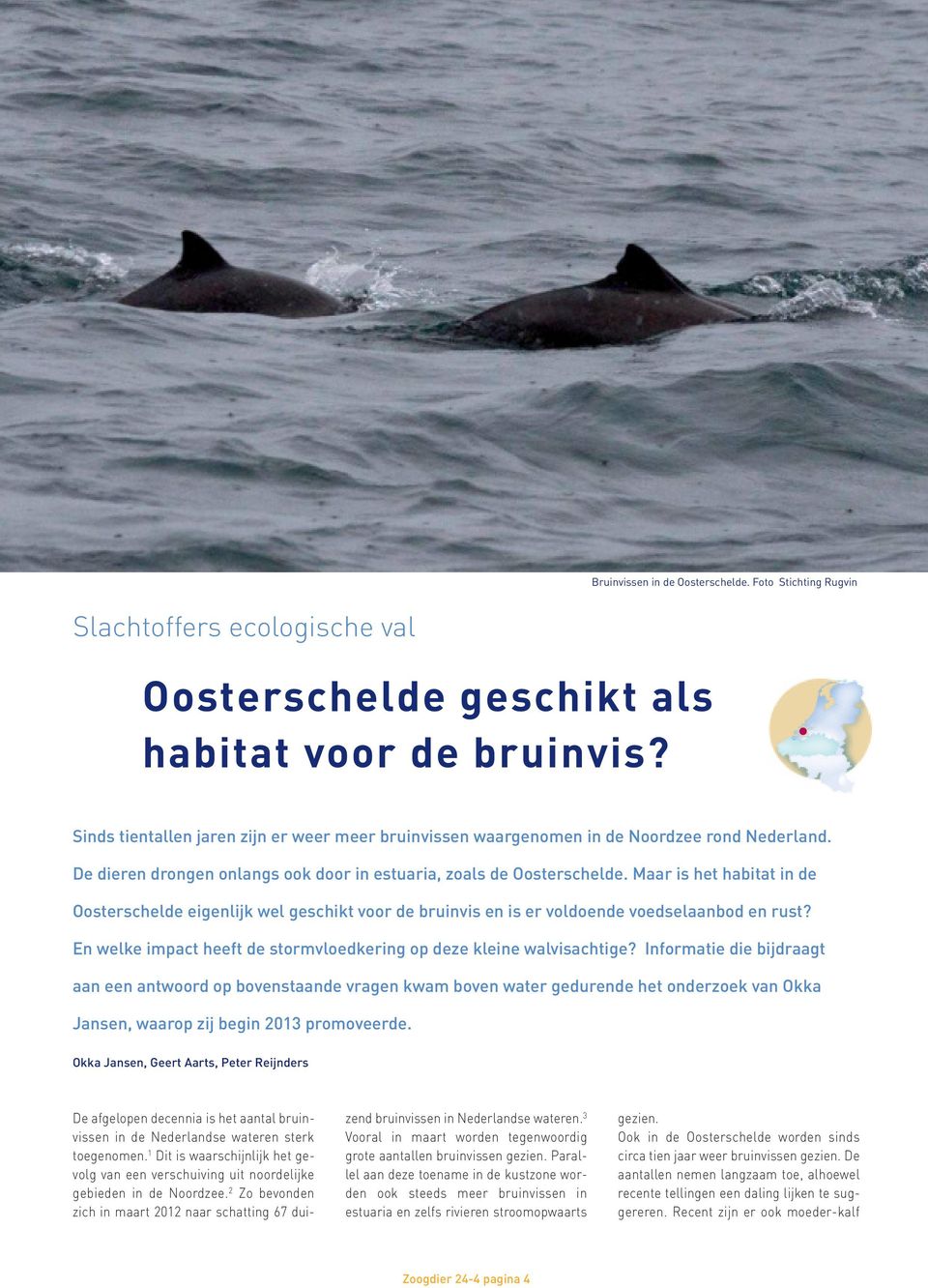 Maar is het habitat in de Oosterschelde eigenlijk wel geschikt voor de bruinvis en is er voldoende voedselaanbod en rust? En welke impact heeft de stormvloedkering op deze kleine walvisachtige?