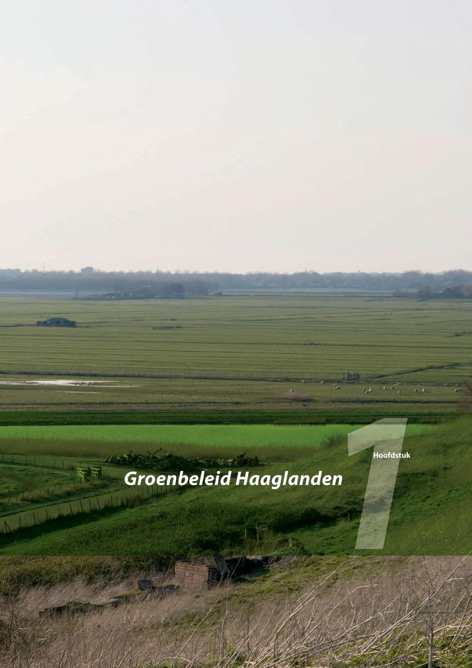 Groenbeleid