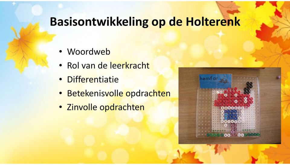 leerkracht Differentiatie