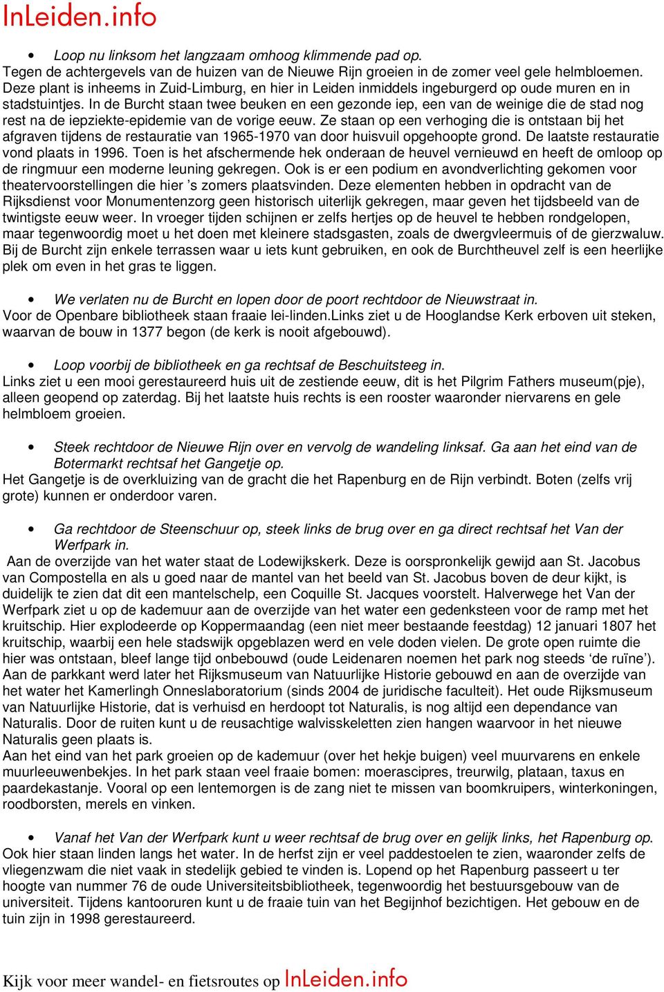 In de Burcht staan twee beuken en een gezonde iep, een van de weinige die de stad nog rest na de iepziekte-epidemie van de vorige eeuw.