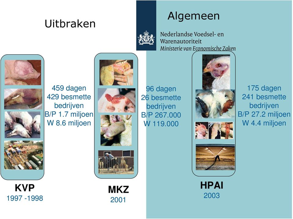 6 miljoen 96 dagen 26 besmette bedrijven B/P 267.000 W 119.