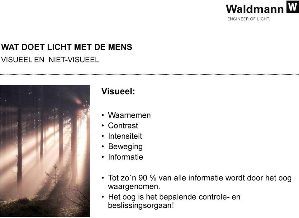 Informatie Tot zo n 90 % van alle informatie wordt door