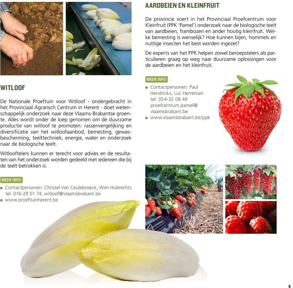 De experts van het PPK helpen zowel beroepstelers als particulieren graag op weg naar duurzame oplossingen voor de aardbeien en het kleinfruit.
