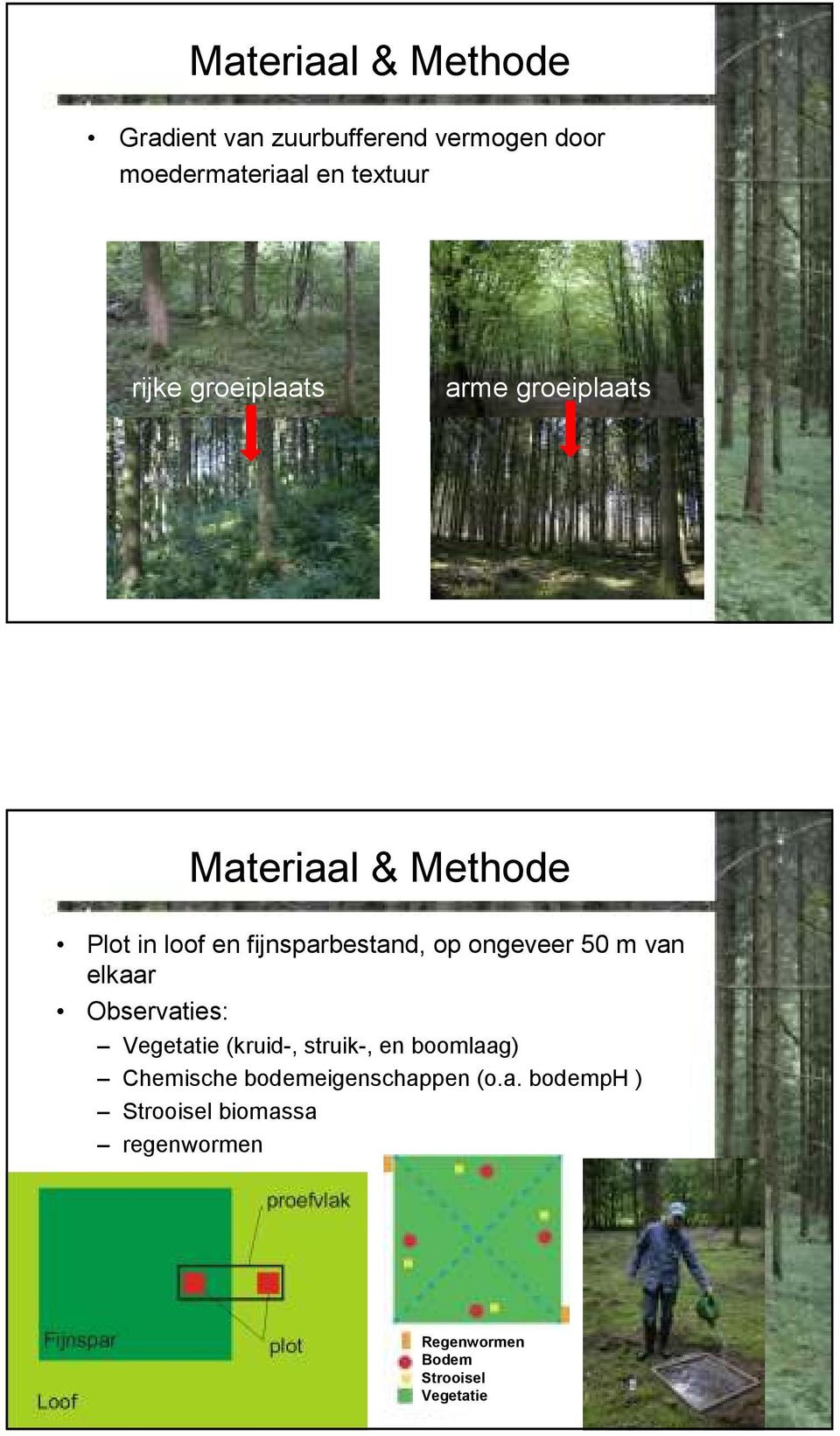 ongeveer 50 m van elkaar Observaties: Vegetatie (kruid-, struik-, en boomlaag) Chemische