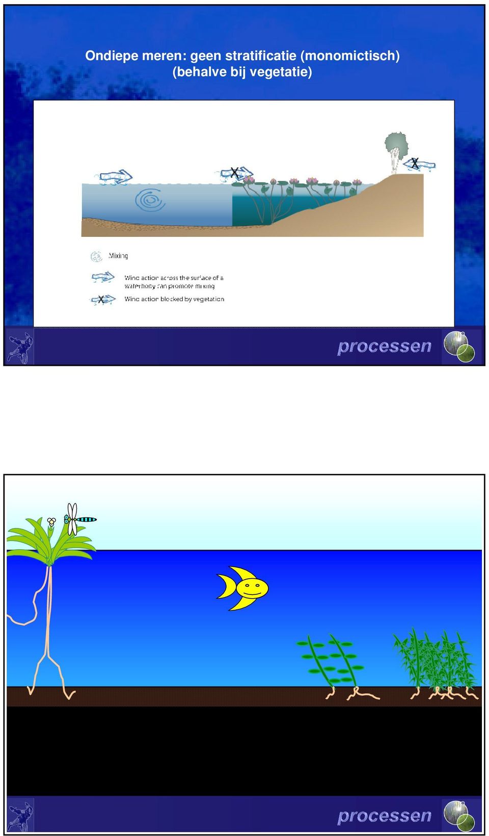 stratificatie