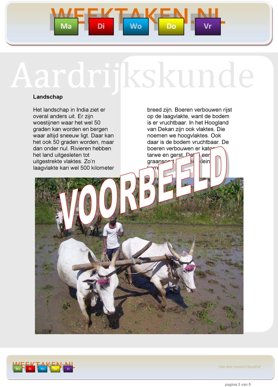 Zo n laagvlakte kan wel 500 kilometer breed zijn. Boeren verbouwen rijst op de laagvlakte, want de bodem is er vruchtbaar.