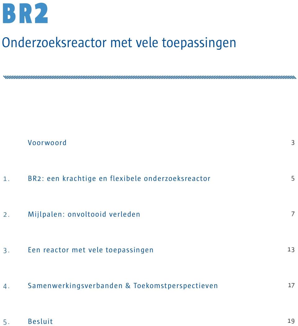 Mijlpalen: onvoltooid verleden 7 3.