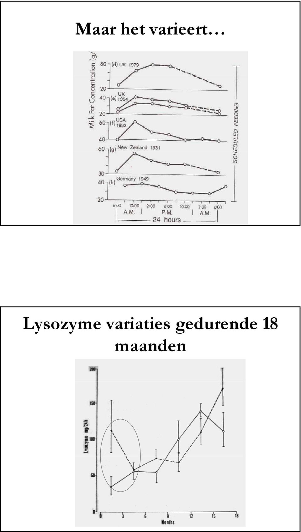 Lysozyme