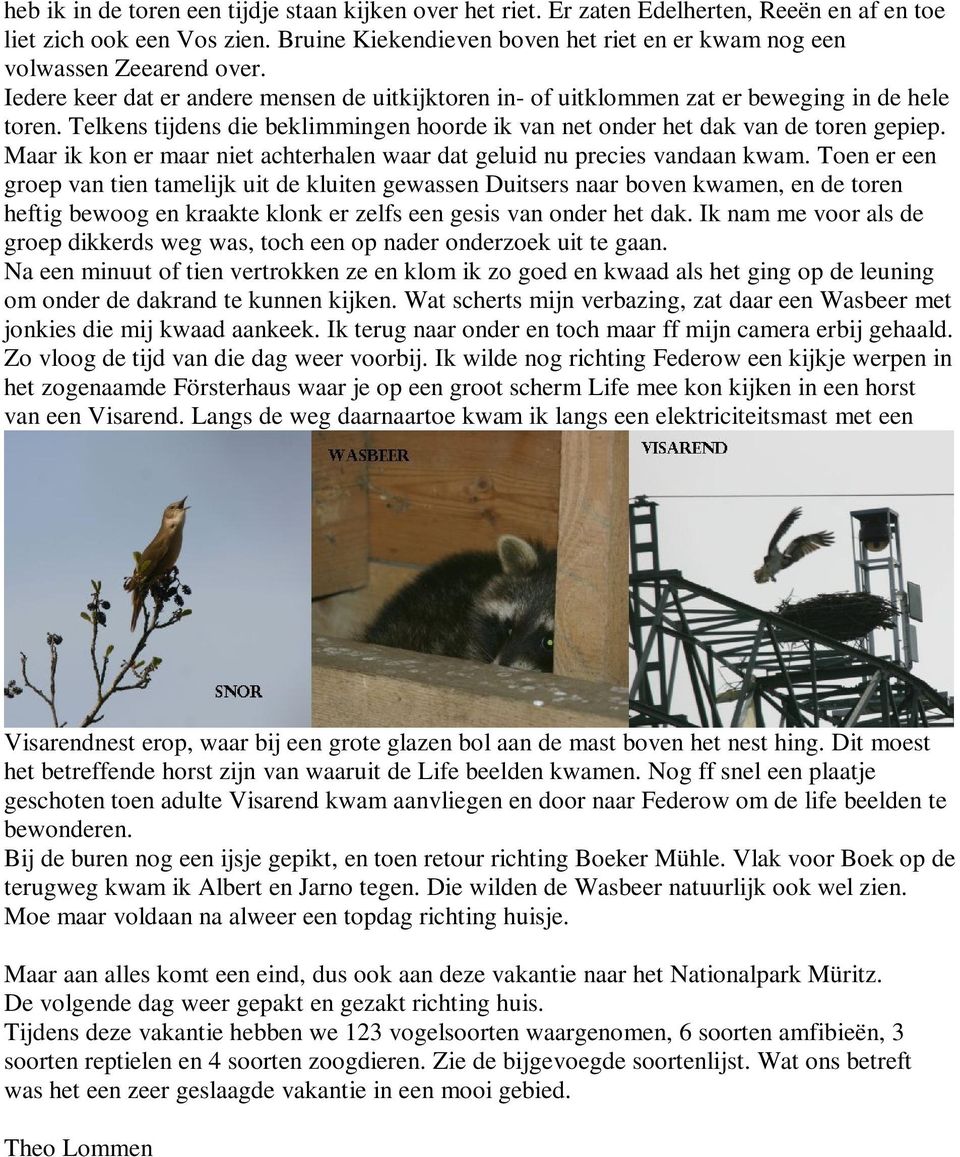 Telkens tijdens die beklimmingen hoorde ik van net onder het dak van de toren gepiep. Maar ik kon er maar niet achterhalen waar dat geluid nu precies vandaan kwam.