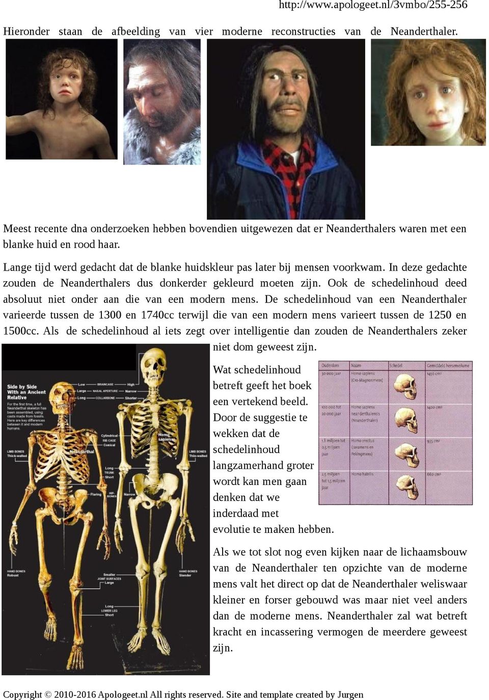 In deze gedachte zouden de Neanderthalers dus donkerder gekleurd moeten zijn. Ook de schedelinhoud deed absoluut niet onder aan die van een modern mens.