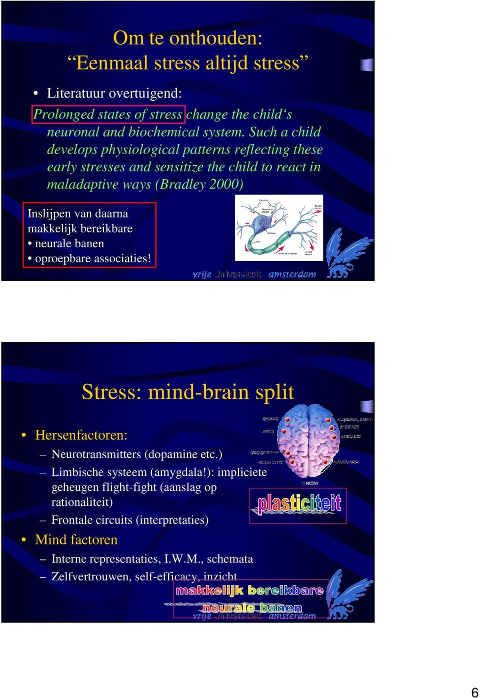 makkelijk bereikbare neurale banen oproepbare associaties! Stress: mind-brain split Hersenfactoren: Neurotransmitters (dopamine etc.) Limbische systeem (amygdala!