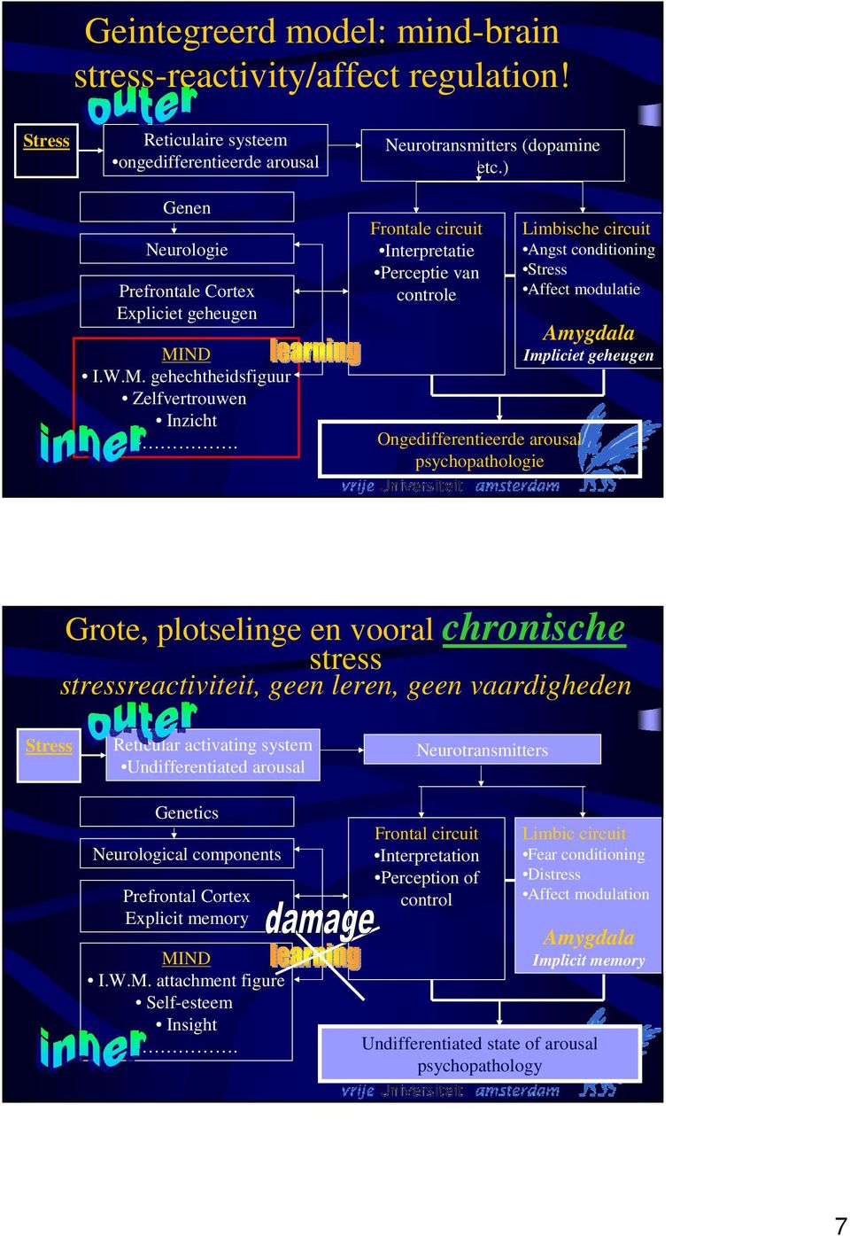 ) Frontale circuit Interpretatie Perceptie van controle Ongedifferentieerde arousal psychopathologie Limbische circuit Angst conditioning Stress Affect modulatie Amygdala Impliciet geheugen Grote,