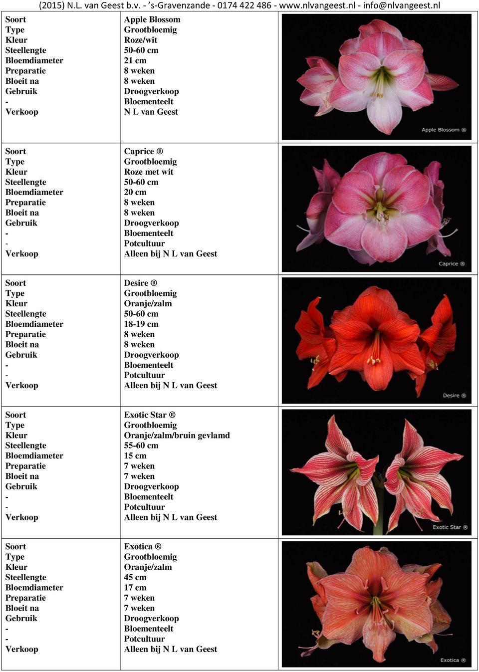 nl Apple Blossom /wit 5060 cm 21 cm Caprice met wit 5060 cm Desire