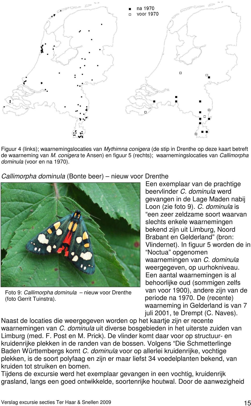 Callimorpha dominula (Bonte beer) nieuw voor Drenthe Een exemplaar van de prachtige beervlinder C.