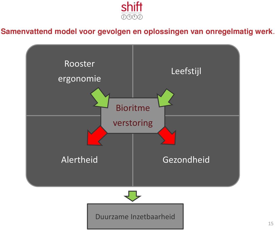 Rooster ergonomie Leefstijl Bioritme