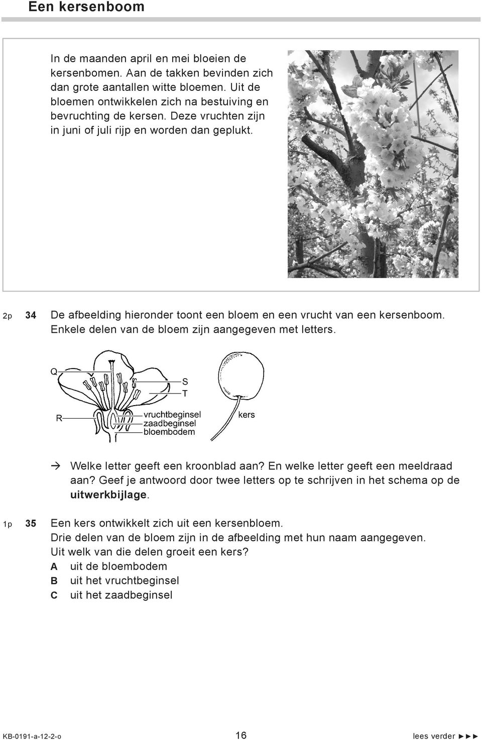 vruchtbeginsel zaadbeginsel bloembodem kers Welke letter geeft een kroonblad aan? En welke letter geeft een meeldraad aan?