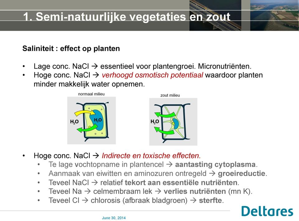 NaCl à Indirecte en toxische effecten. Te lage vochtopname in plantencel à aantasting cytoplasma.