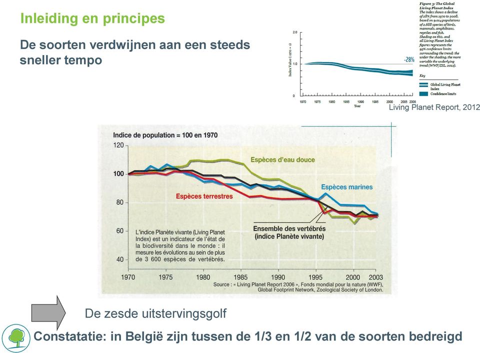 2012 De zesde uitstervingsgolf Constatatie: in