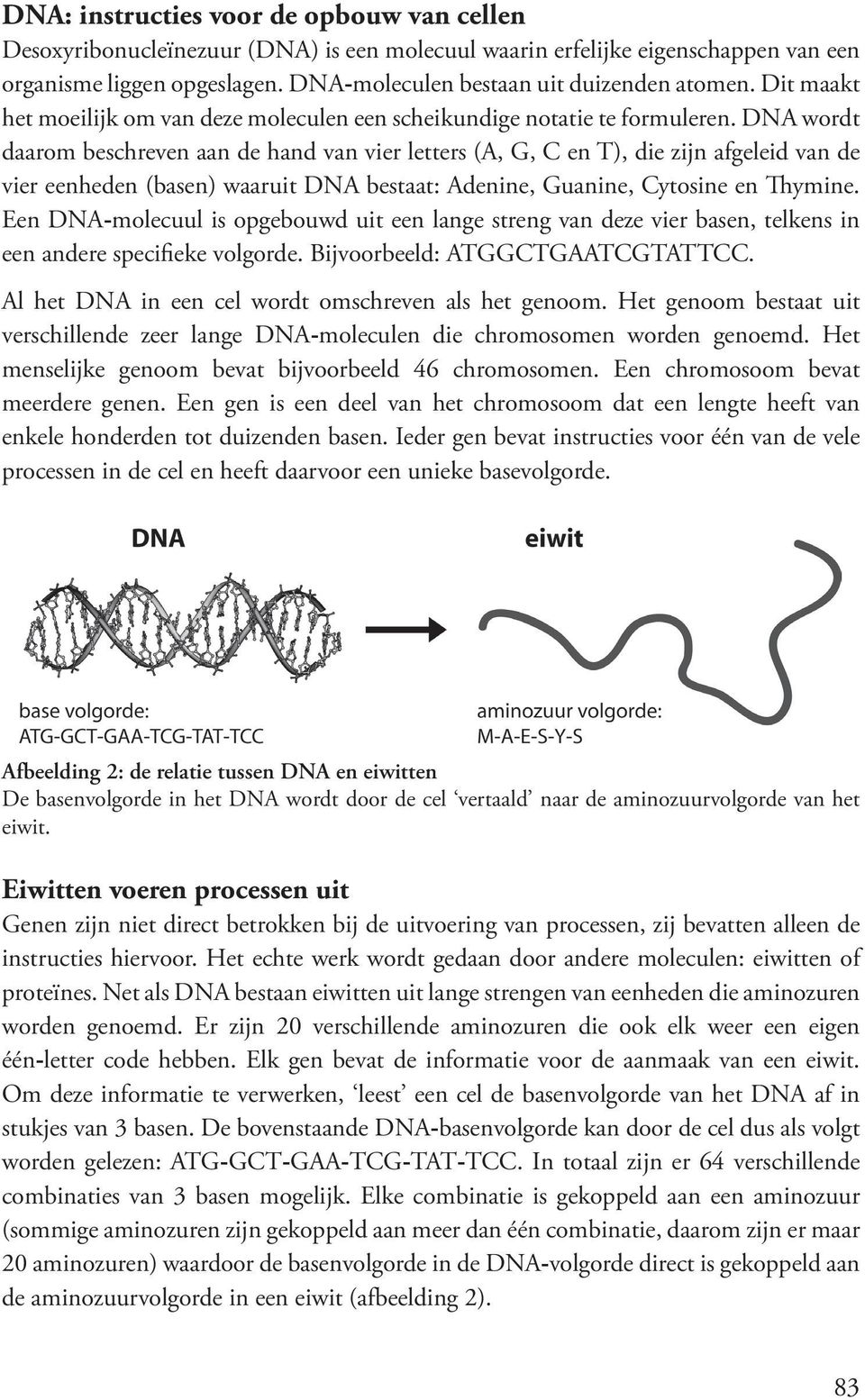 DNA wordt daarom beschreven aan de hand van vier letters (A, G, C en T), die zijn afgeleid van de vier eenheden (basen) waaruit DNA bestaat: Adenine, Guanine, Cytosine en Thymine.