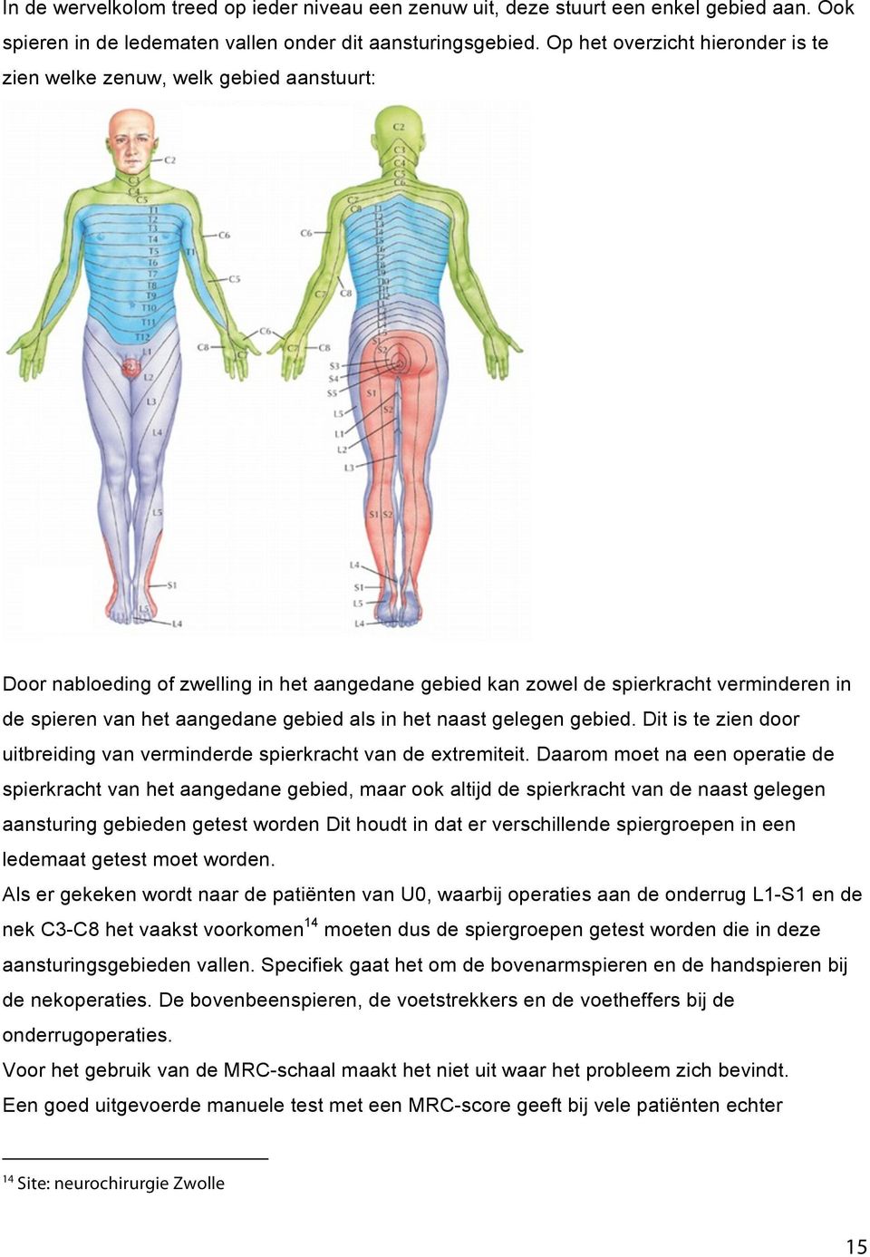 gebied als in het naast gelegen gebied. Dit is te zien door uitbreiding van verminderde spierkracht van de extremiteit.