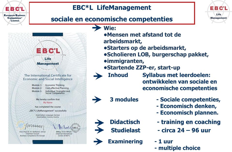 leerdoelen: ontwikkelen van sociale en economische competenties 3 modules - Sociale competenties, - Economisch