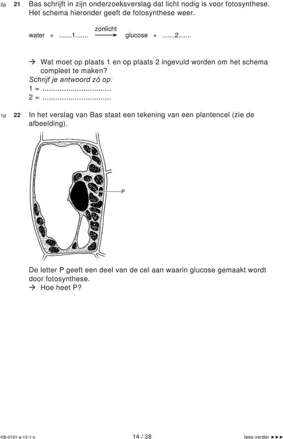 Schrijf je antwoord zó op: 1 =... 2 =... 1p 22 In het verslag van Bas staat een tekening van een plantencel (zie de afbeelding).