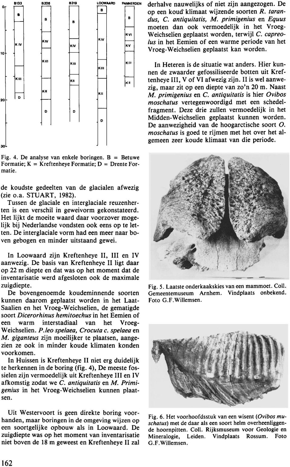 In Heteren is de situatie wat anders. Hier kunnen de zwaarder gefossiliseerde botten uit Kreftenheye III, V of VI afwezig zijn. II is wel aanwezig, maar zit op een diepte van zo'n 20 m. Naast M.