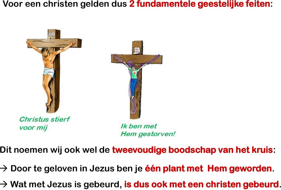 het kruis: Door te geloven in Jezus ben je één plant met Hem