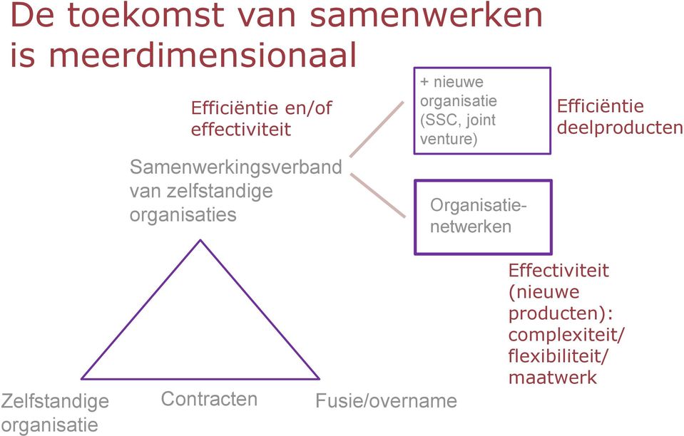 venture) Organisatienetwerken Efficiëntie deelproducten Zelfstandige organisatie