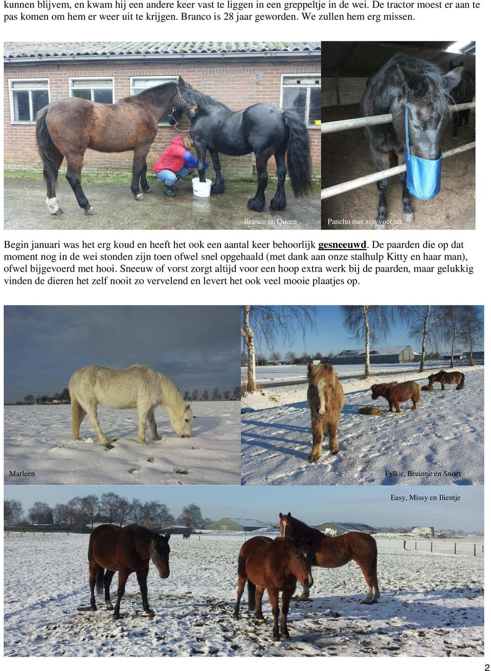 De paarden die op dat moment nog in de wei stonden zijn toen ofwel snel opgehaald (met dank aan onze stalhulp Kitty en haar man), ofwel bijgevoerd met hooi.