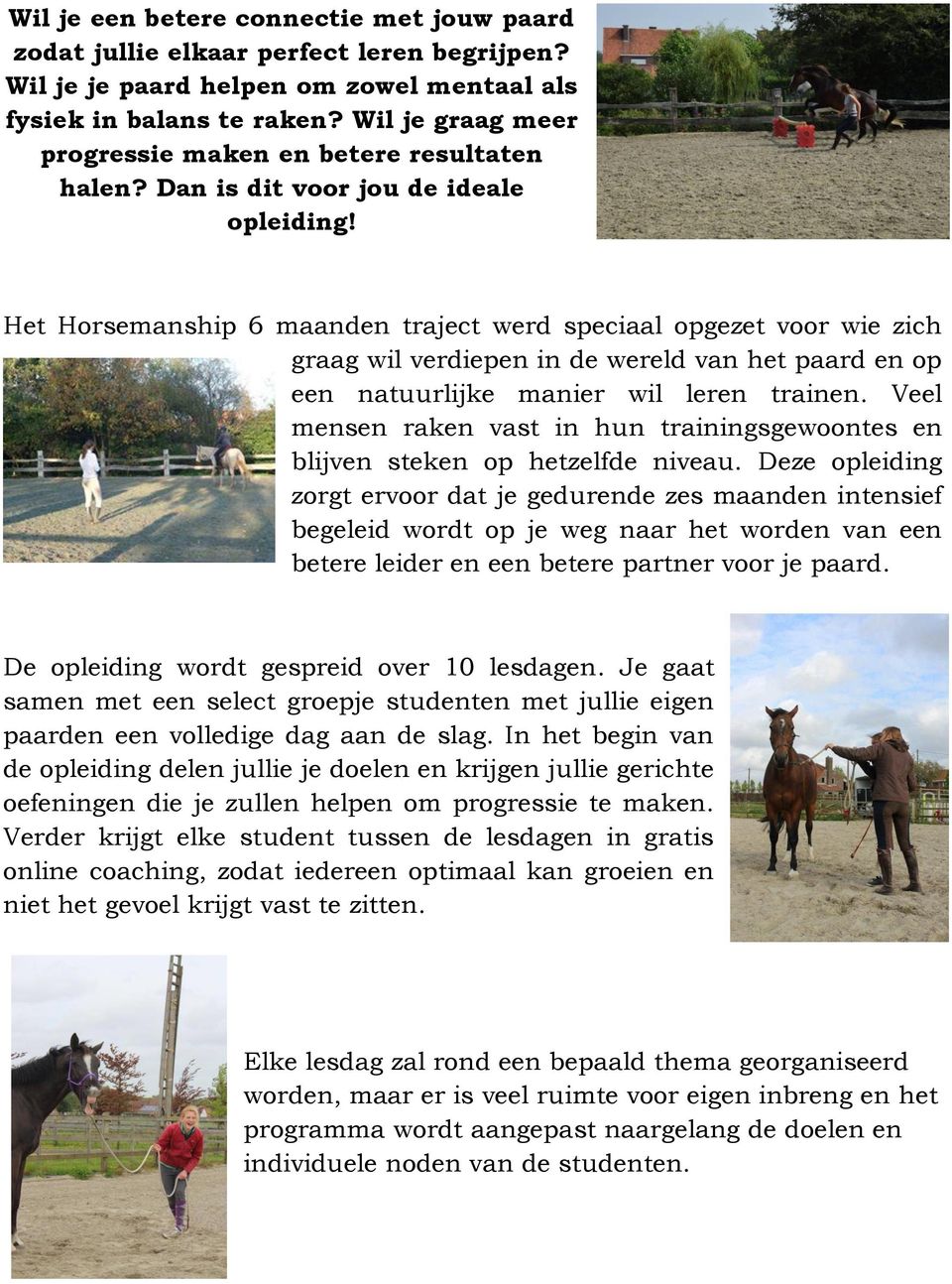 Het Horsemanship 6 maanden traject werd speciaal opgezet voor wie zich graag wil verdiepen in de wereld van het paard en op een natuurlijke manier wil leren trainen.