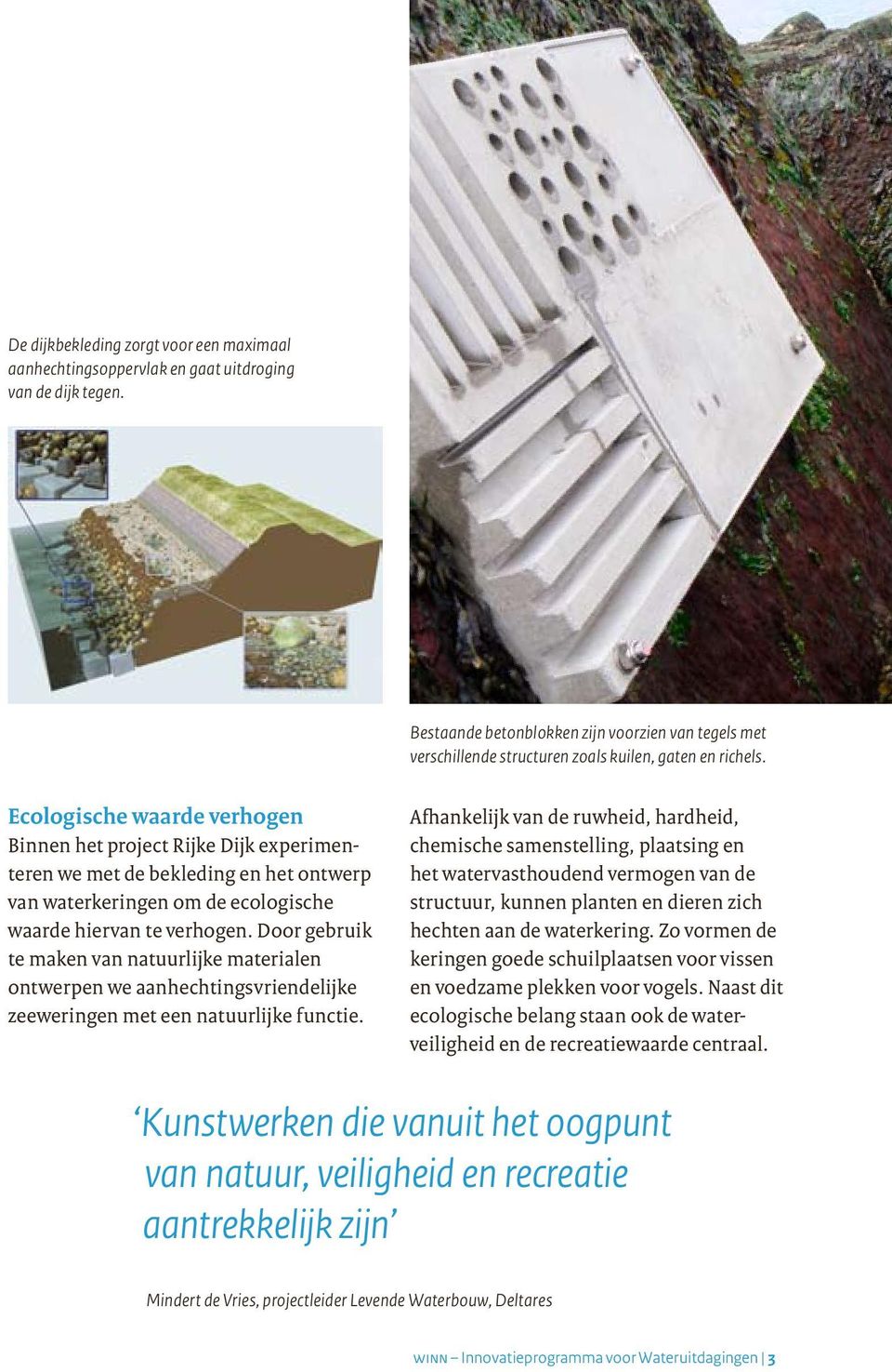 Ecologische waarde verhogen Binnen het project Rijke Dijk experimenteren we met de bekleding en het ontwerp van waterkeringen om de ecologische waarde hiervan te verhogen.