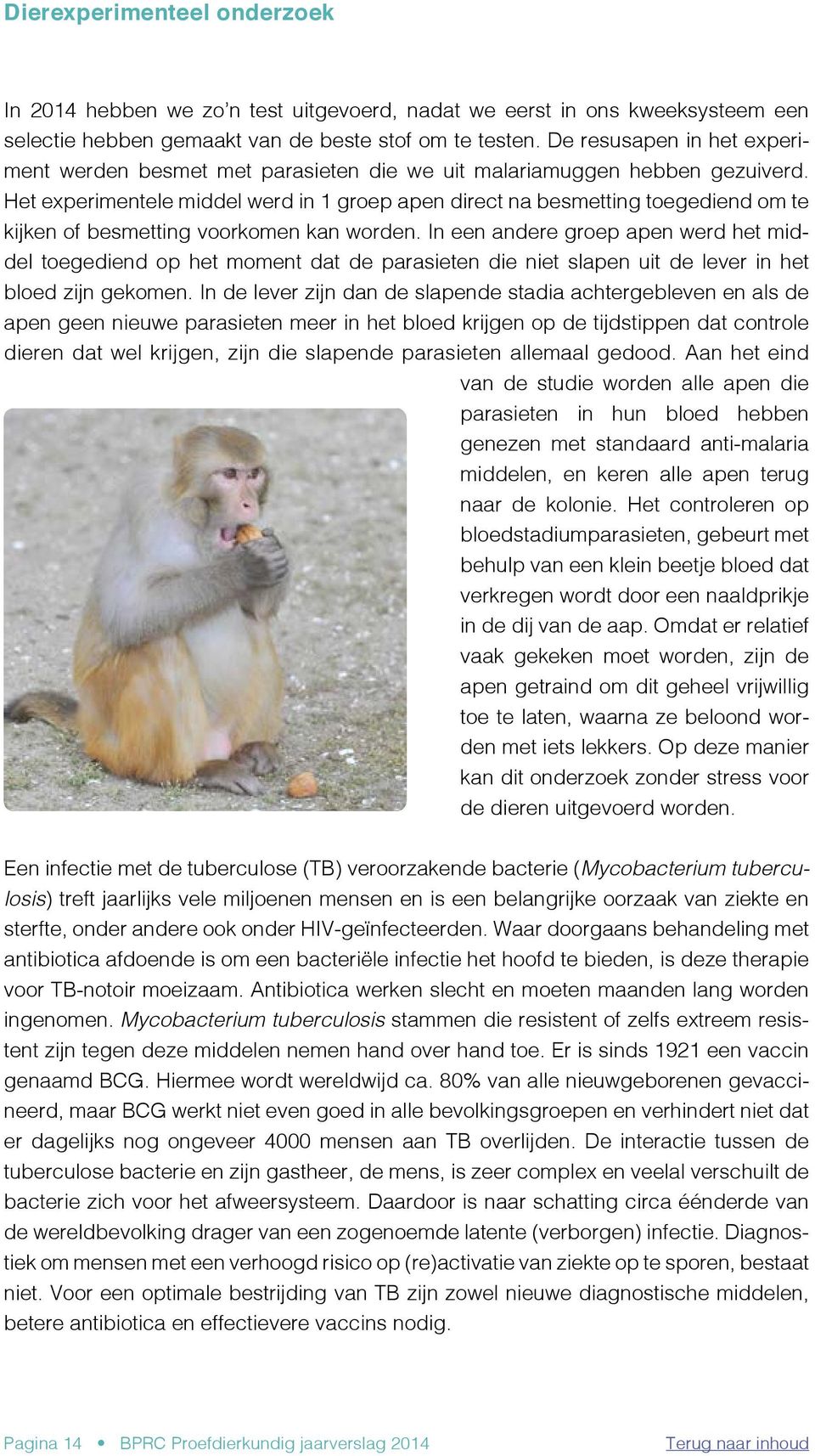 Het experimentele middel werd in 1 groep apen direct na besmetting toegediend om te kijken of besmetting voorkomen kan worden.