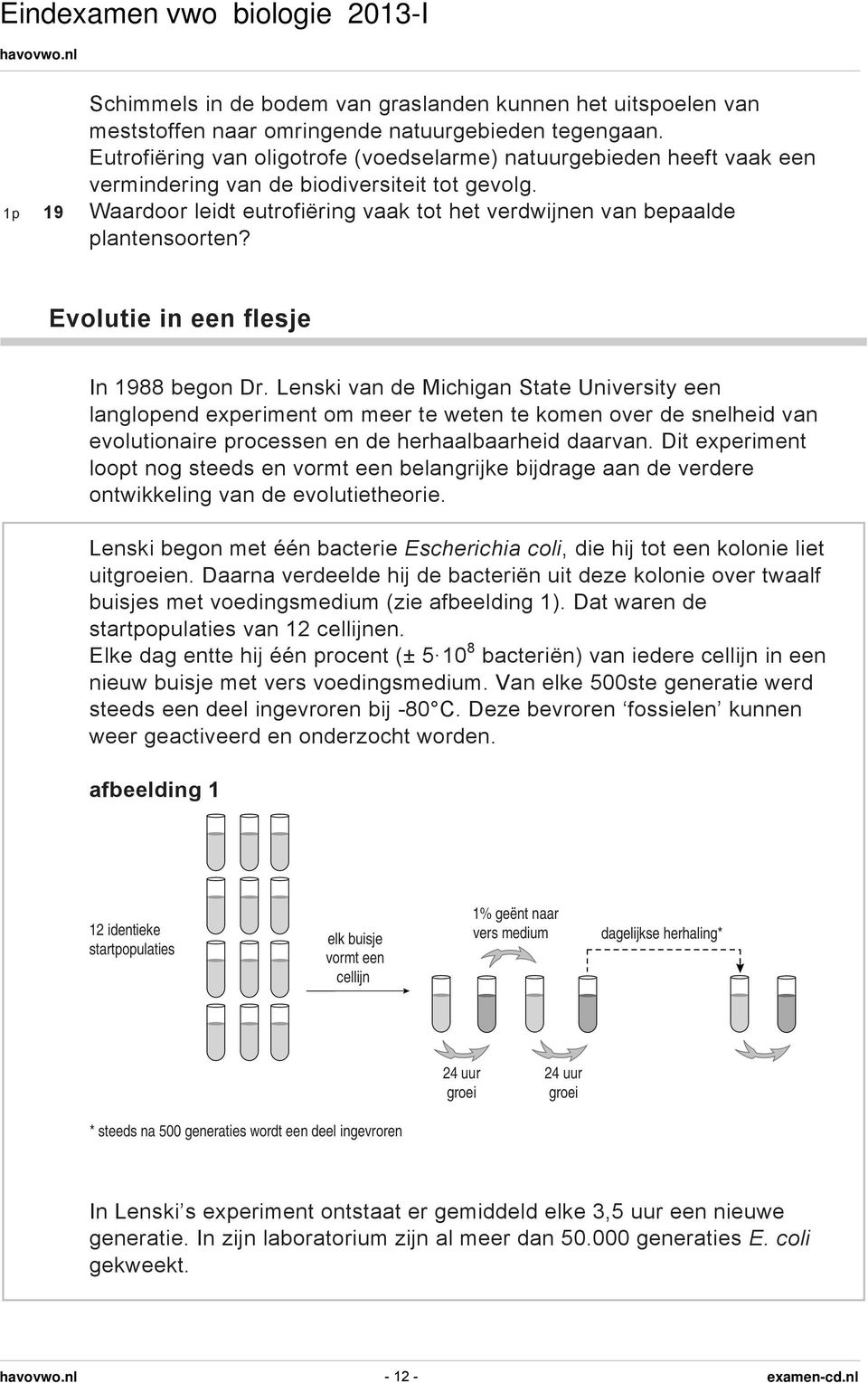 1p 19 Waardoor leidt eutrofiëring vaak tot het verdwijnen van bepaalde plantensoorten? Evolutie in een flesje In 1988 begon Dr.