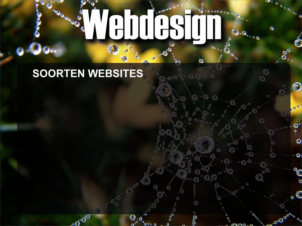 WEBSITES