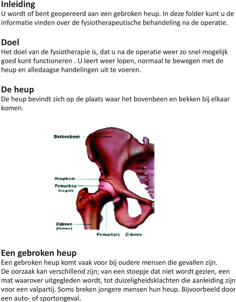 De heup De heup bevindt zich op de plaats waar het bovenbeen en bekken bij elkaar komen. Een gebroken heup Een gebroken heup komt vaak voor bij oudere mensen die gevallen zijn.