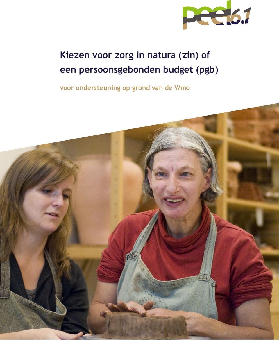 persoonsgebonden budget