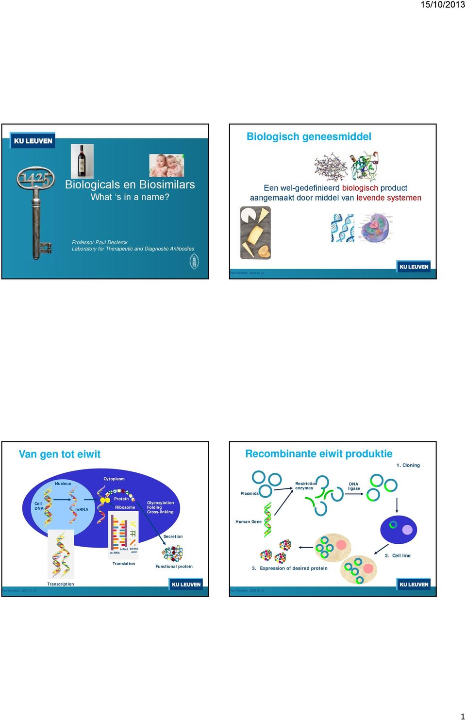 and Diagnostic Antibodies Van gen tot eiwit Recombinante eiwit produktie 1.