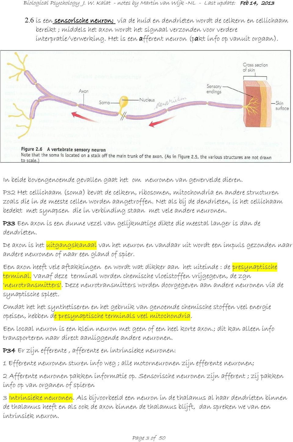 P32 Het cellichaam (soma) bevat de celkern, ribosomen, mitochondria en andere structuren zoals die in de meeste cellen worden aangetroffen.