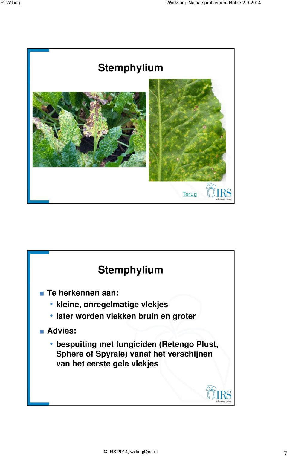 bespuiting met fungiciden (Retengo Plust, Sphere