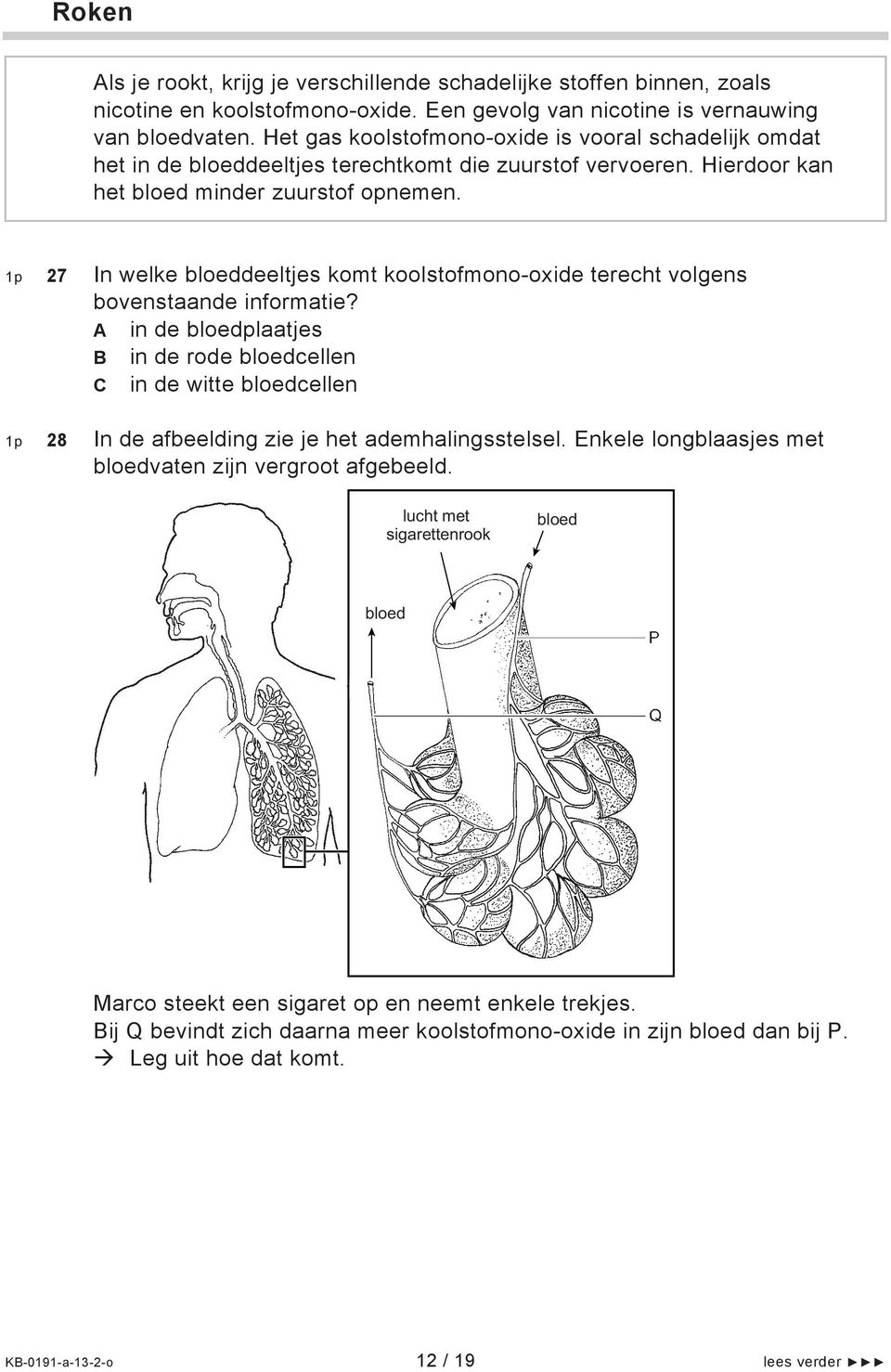 1p 27 In welke bloeddeeltjes komt koolstofmono-oxide terecht volgens bovenstaande informatie?