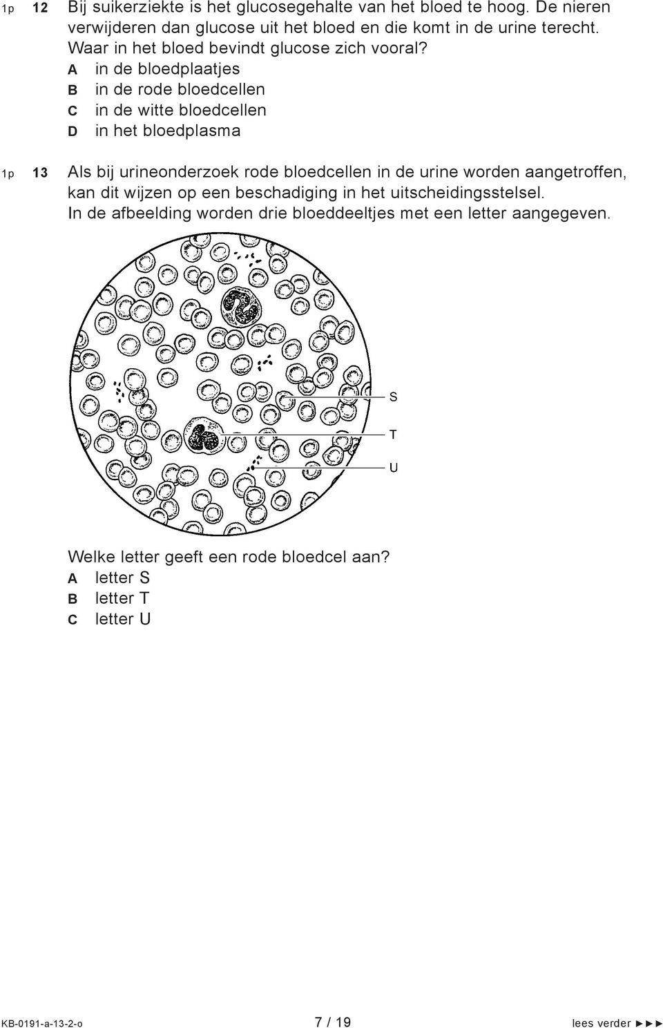 A in de bloedplaatjes B in de rode bloedcellen C in de witte bloedcellen D in het bloedplasma 1p 13 Als bij urineonderzoek rode bloedcellen in de urine