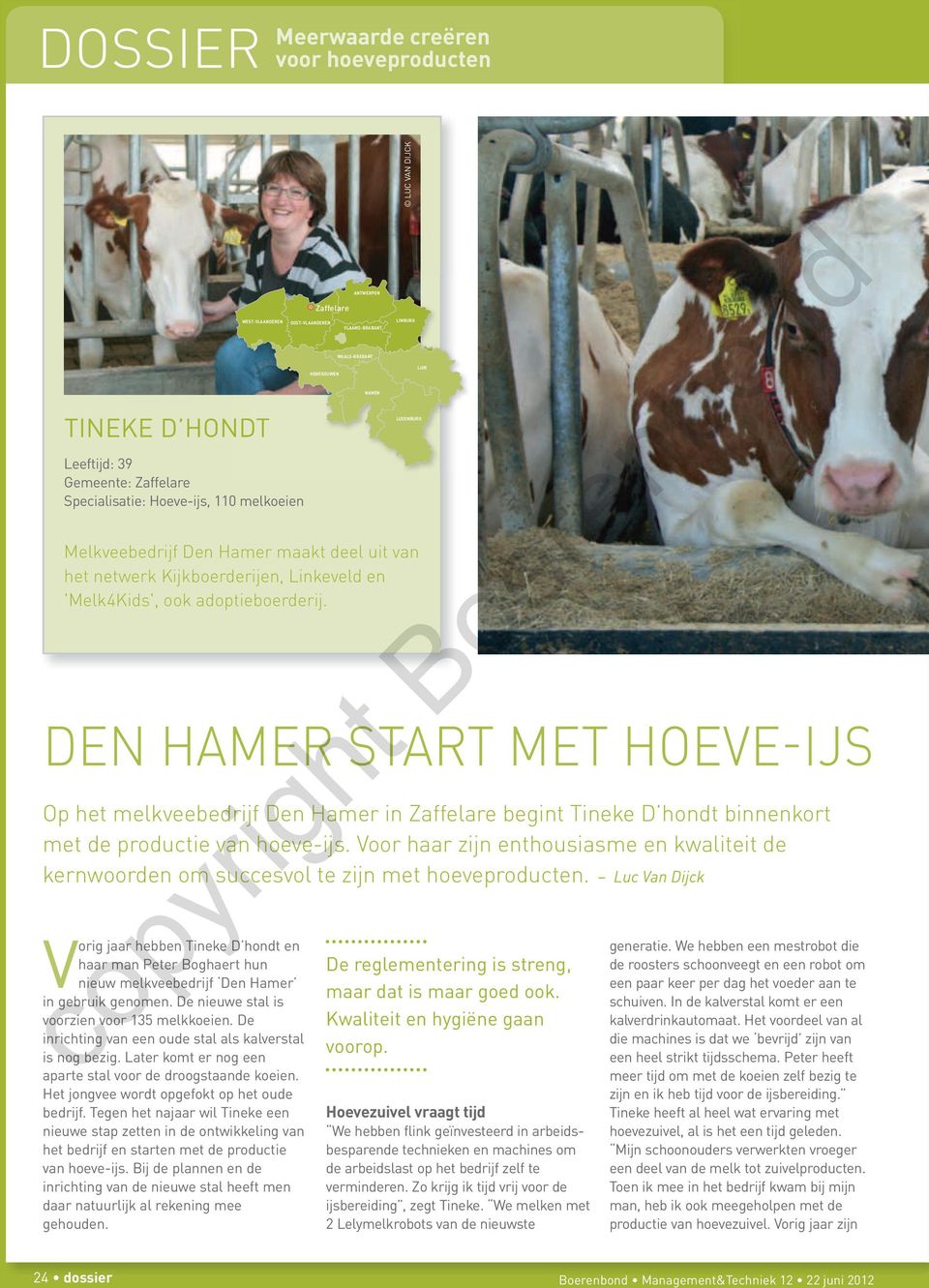 DEN HamER start met HOEVE-Ijs Op het melkveebedrijf Den Hamer in zaffelare begint Tineke D hondt binnenkort met de productie van hoeve-ijs.