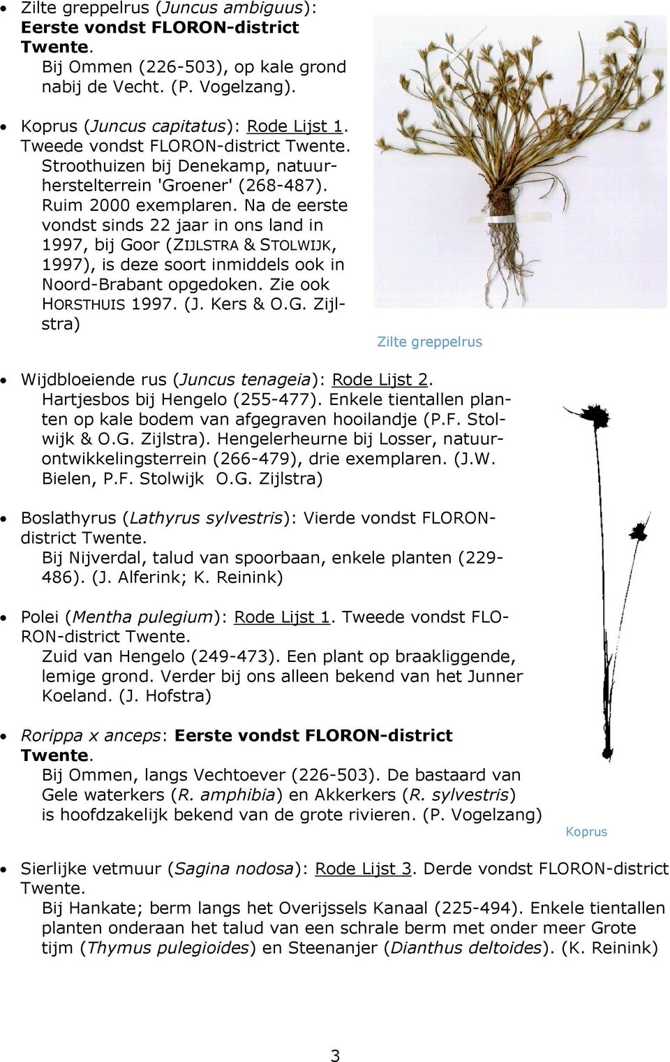 Na de eerste vondst sinds 22 jaar in ons land in 1997, bij Goor (ZIJLSTRA & STOLWIJK, 1997), is deze soort inmiddels ook in Noord-Brabant opgedoken. Zie ook HORSTHUIS 1997. (J. Kers & O.G. Zijlstra) Zilte greppelrus Wijdbloeiende rus (Juncus tenageia): Rode Lijst 2.